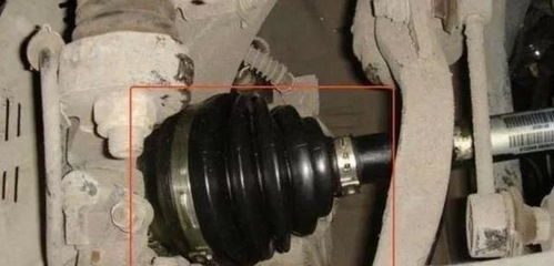 老司機忠告 這三個汽車零件越懶保養越好，過度呵護反成傷車元兇